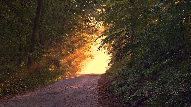 オウム返しする人は聞き上手 心理を解説 イライラさせない使い方 こころちゃんねる
